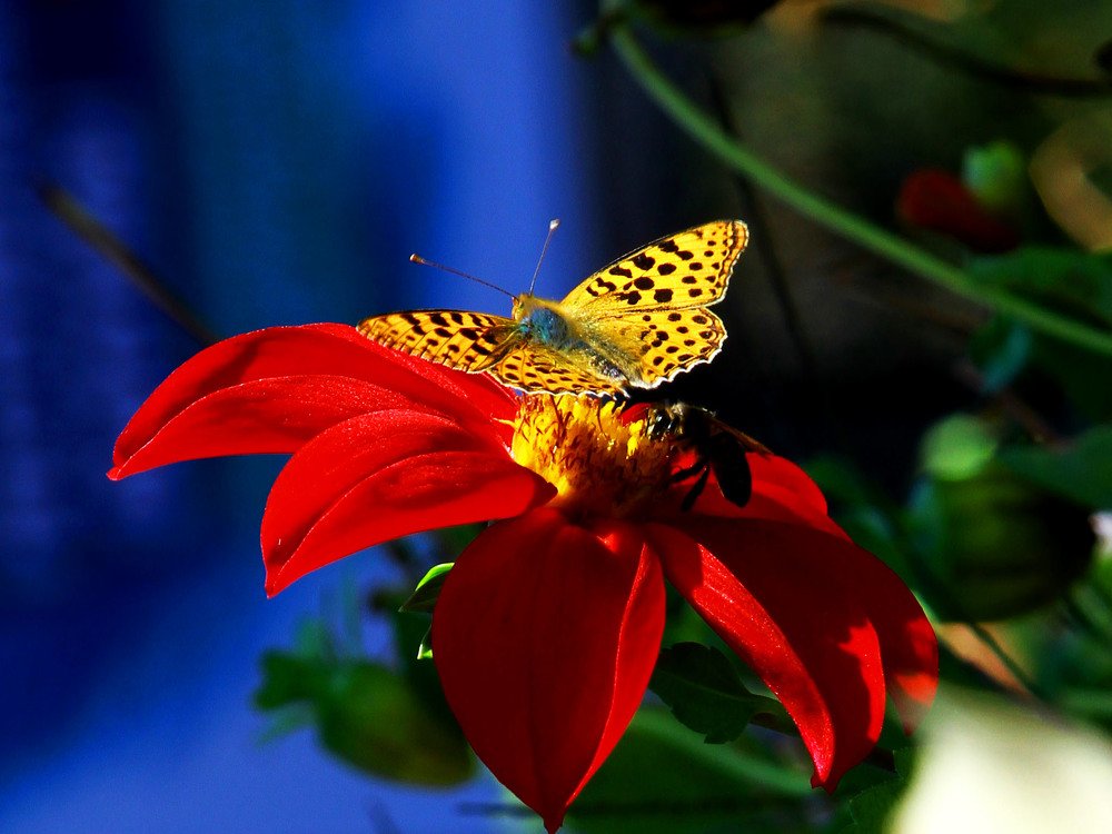 Photograph by Алтынбек Қартабай