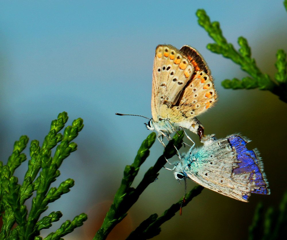 Photograph by Алтынбек Қартабай