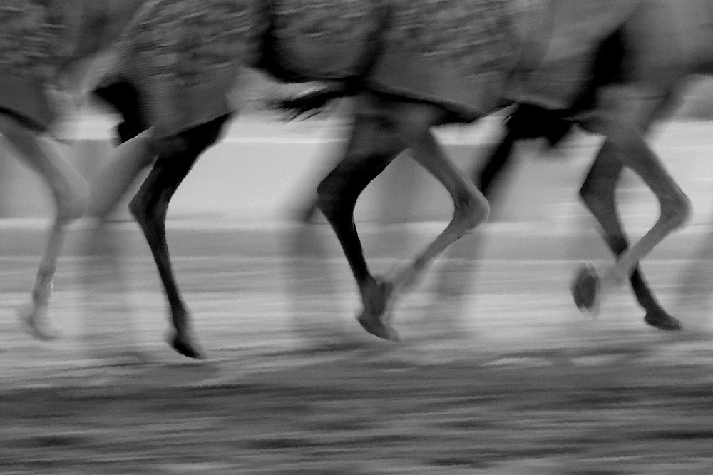 Photograph by Ajeesh Puthiyadath