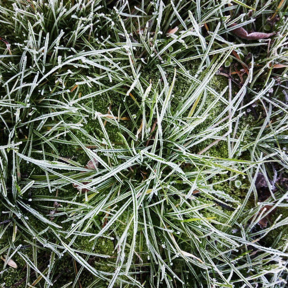 Photograph by Natalia Vishnyakova