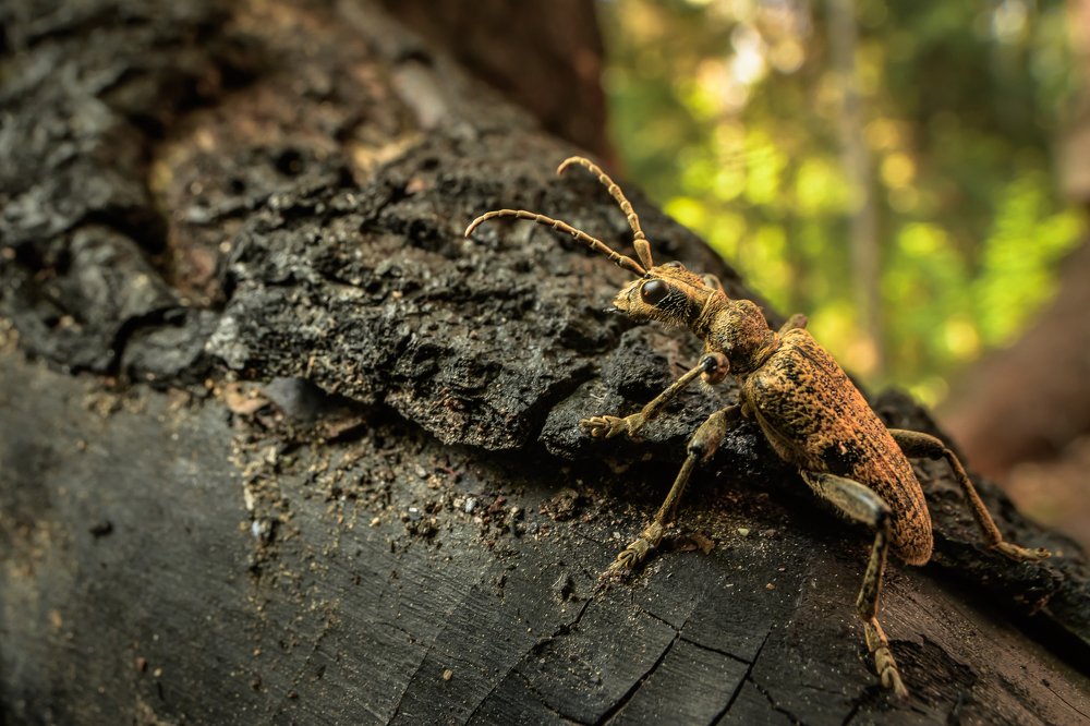 Photograph by Ксения Соварцева