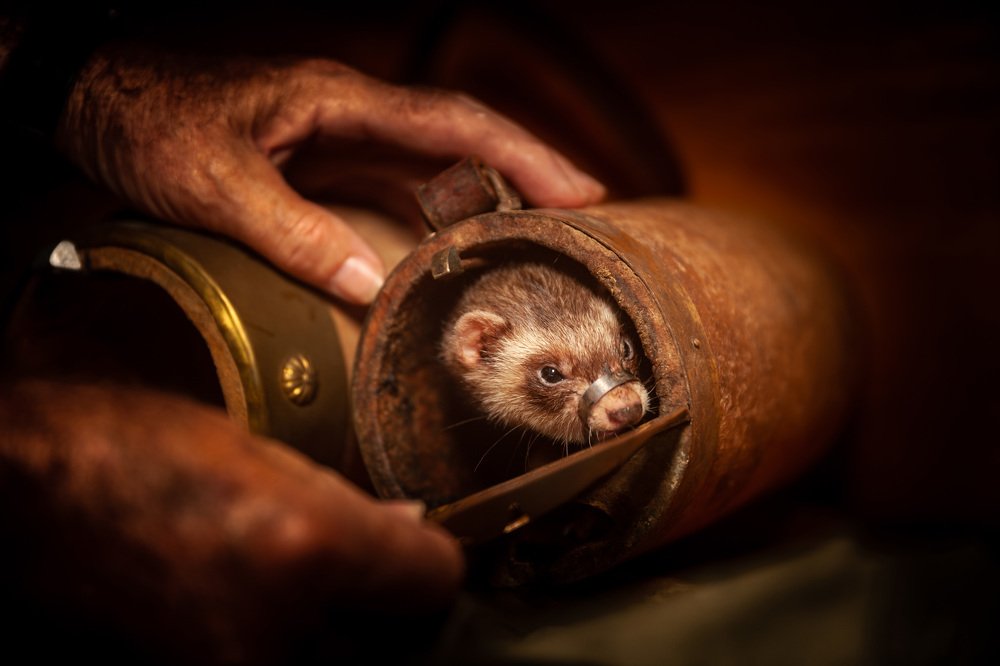 Photograph by Jose Luis Mendez Fernandez