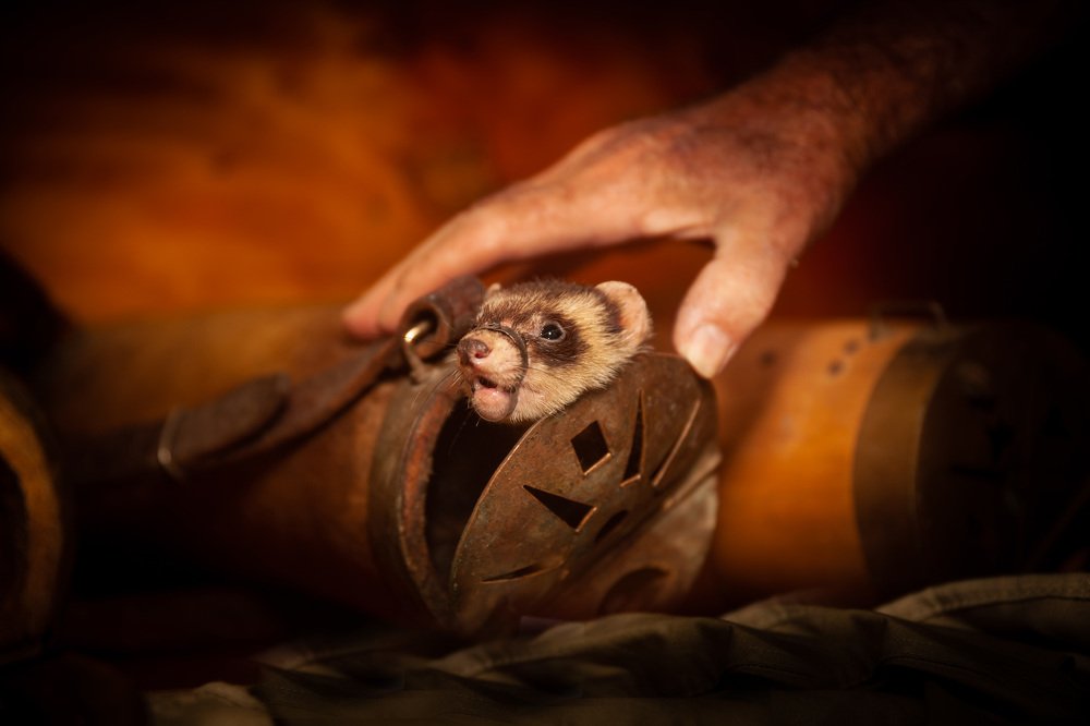 Photograph by Jose Luis Mendez Fernandez