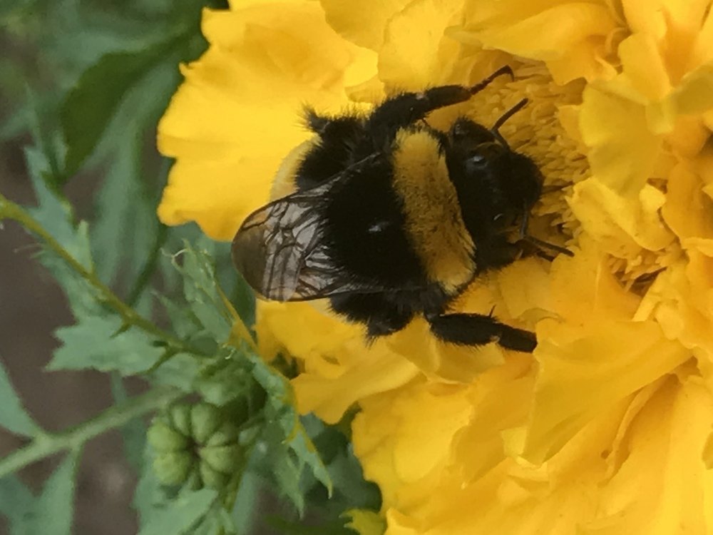 Photograph by Anar K. Amirova