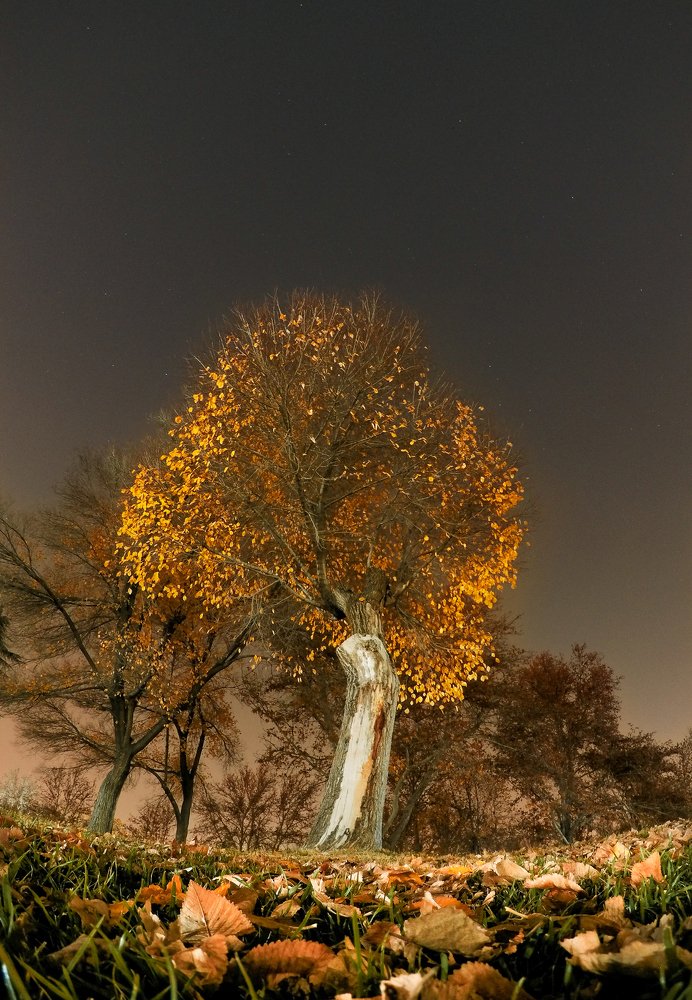 Photograph by Farshad Yazdankhah