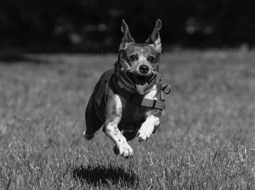 Photograph by Igor Tourovski