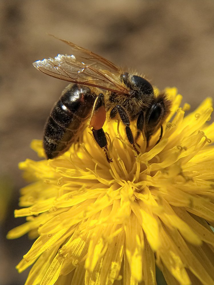 Фотография автора Наталья Алексеева