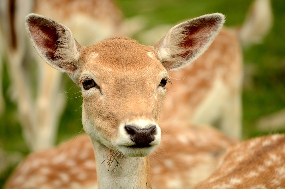 Photograph by Liliana Grup