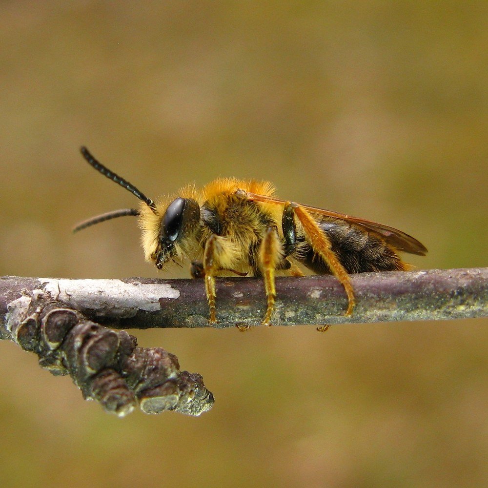 Photograph by Александр Базарный