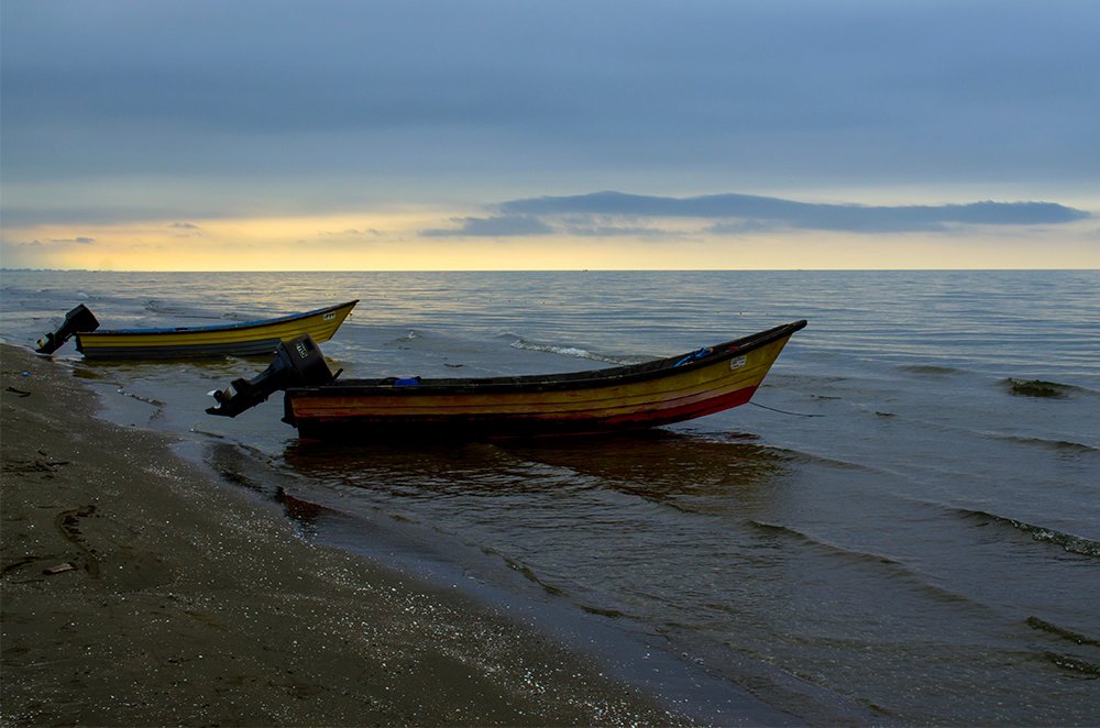 Photograph by Sahar Jafari