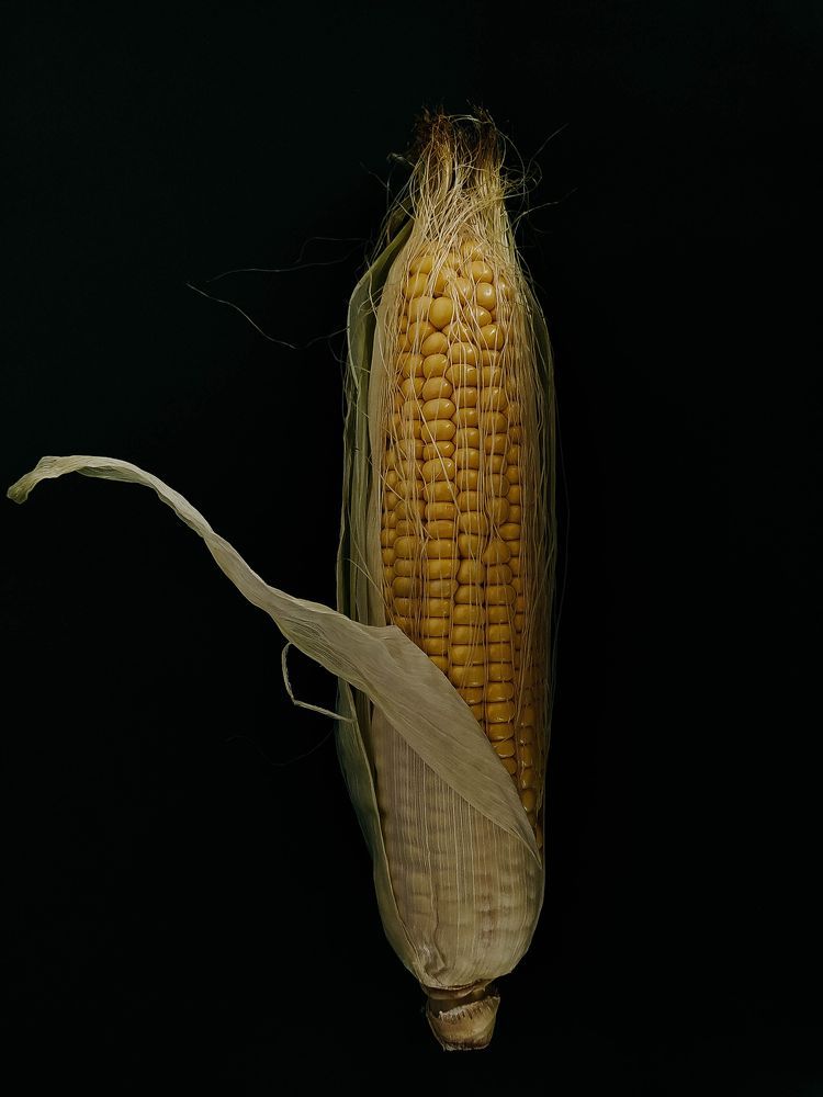 Photograph by Ирина Львова