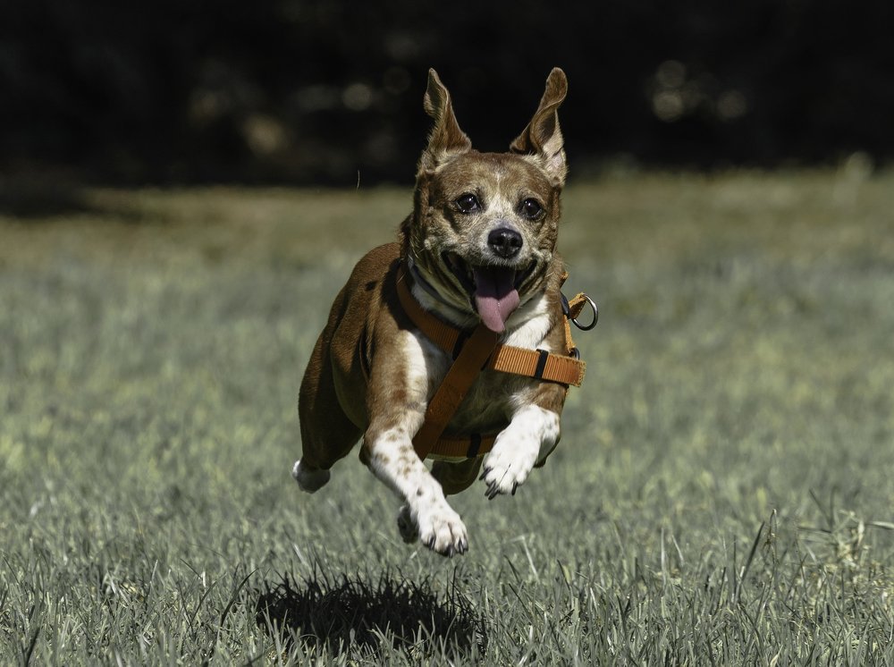 Photograph by Igor Tourovski