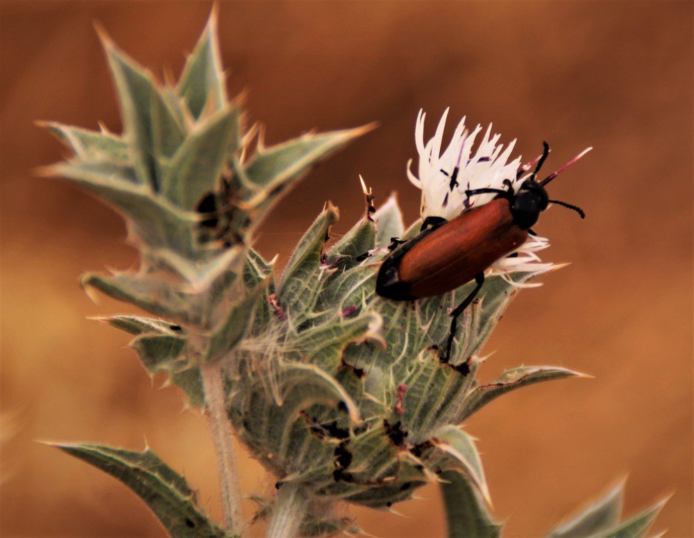 Photograph by Людмила Бутова