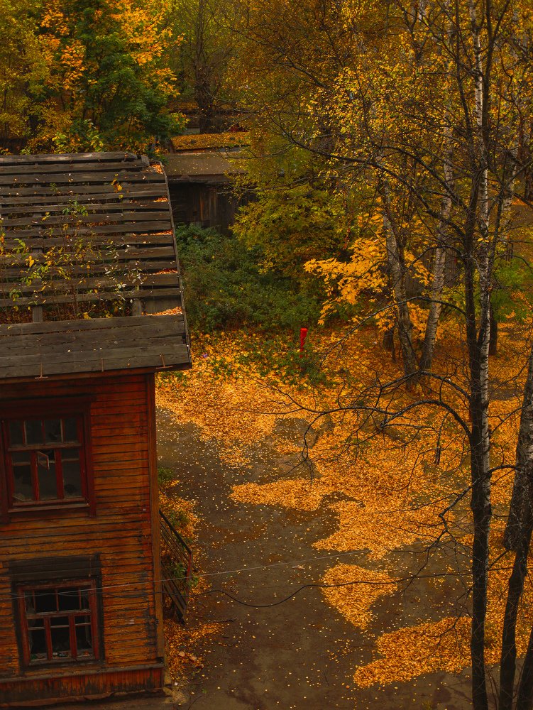 За окном осень...