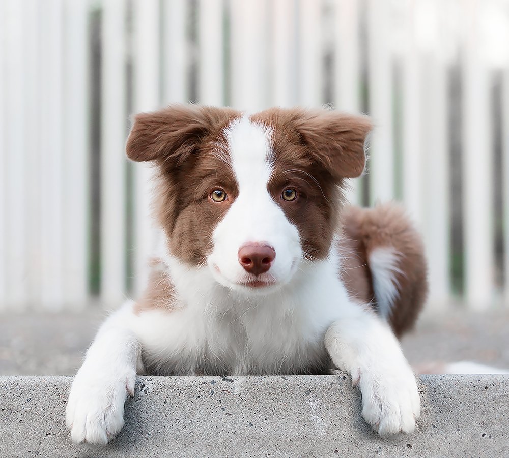 Photograph by Анна Айбетова