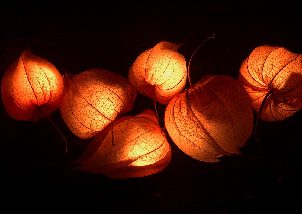 Photograph by Анна Айбетова