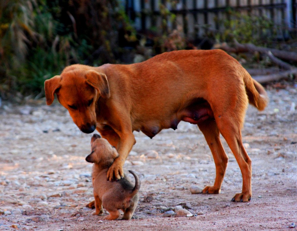 Photograph by Алтынбек Қартабай