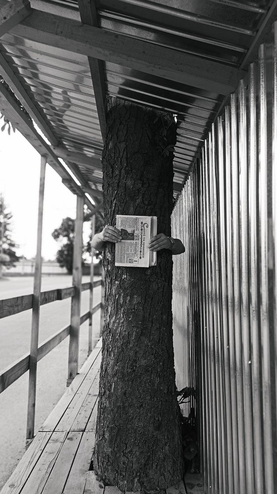 Photograph by Лена Тулай