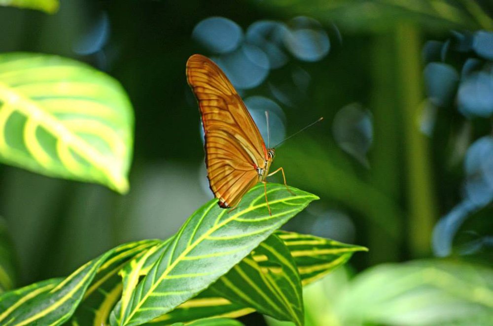 Photograph by Liliana Grup