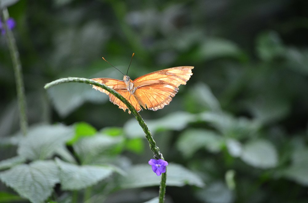 Photograph by Liliana Grup