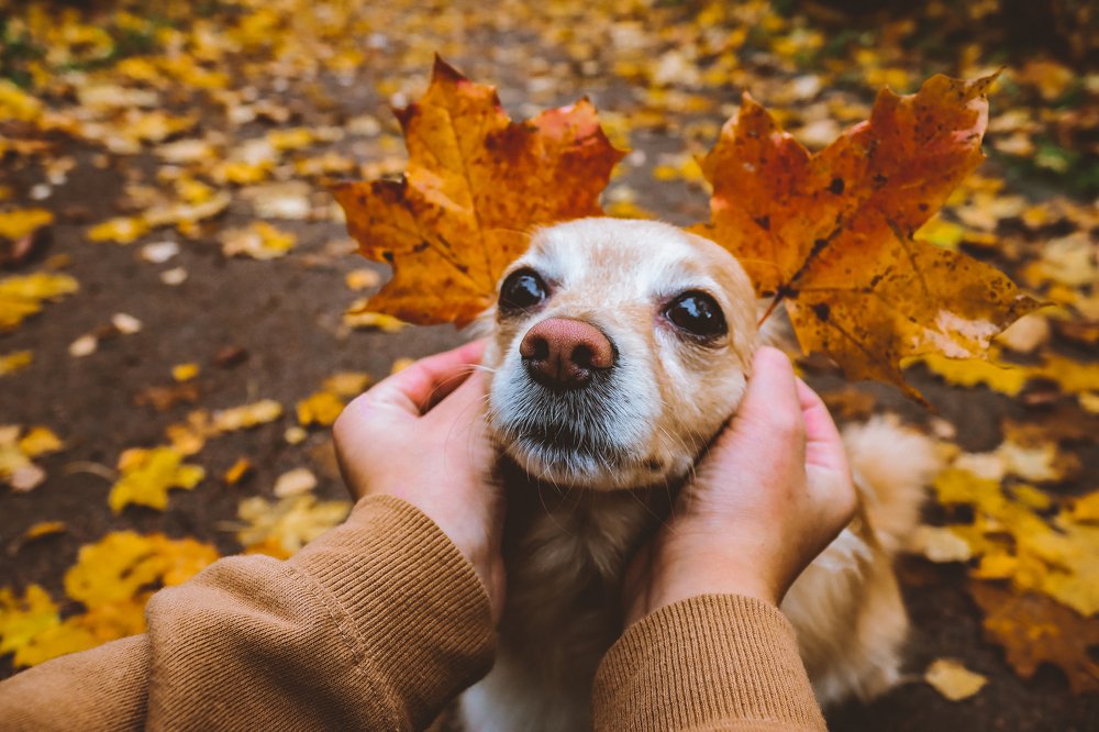 Photograph by Алина Логвиненко