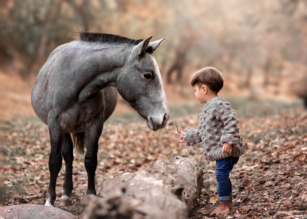 Photograph by Fátima Daniela Campos Vargas