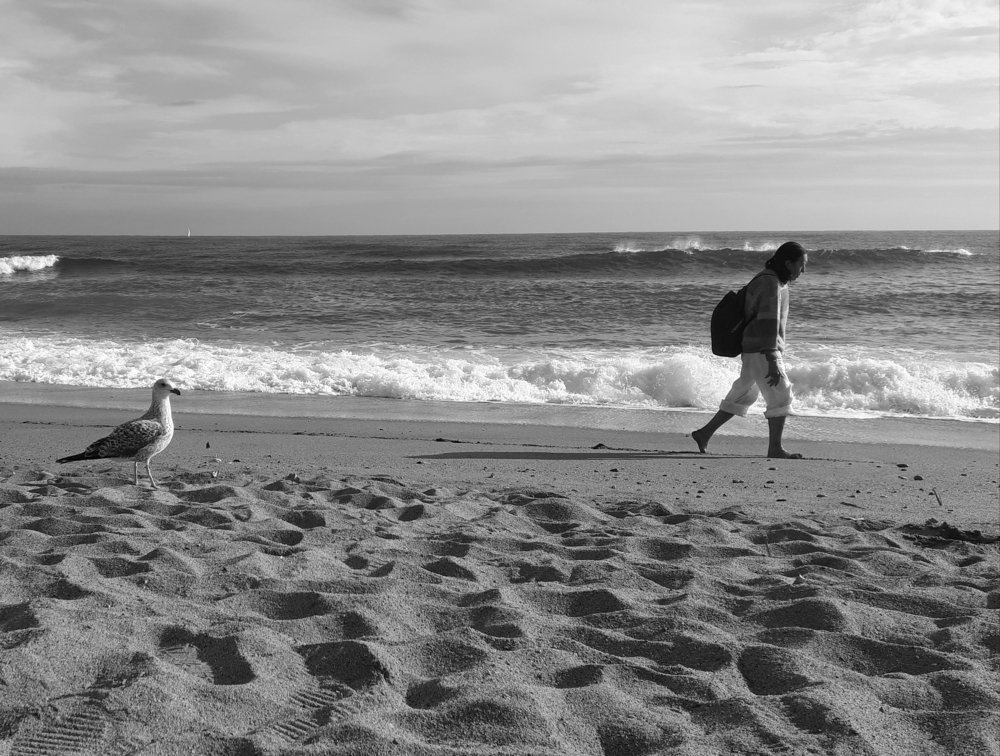 Photograph by Сергей Смирнов