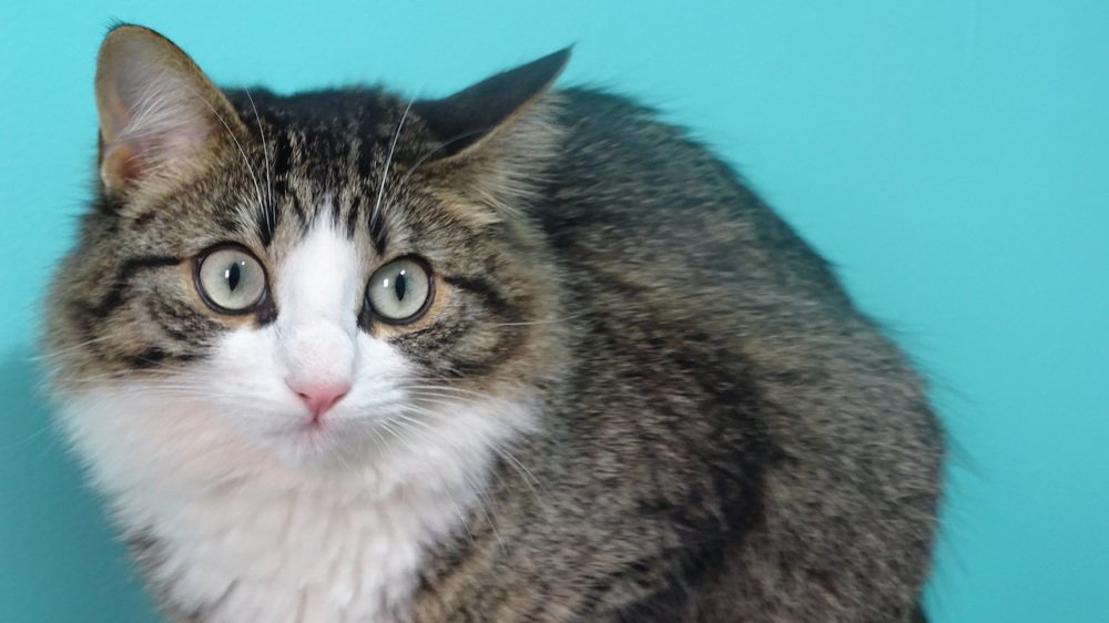 Photograph by mounir boudjellal