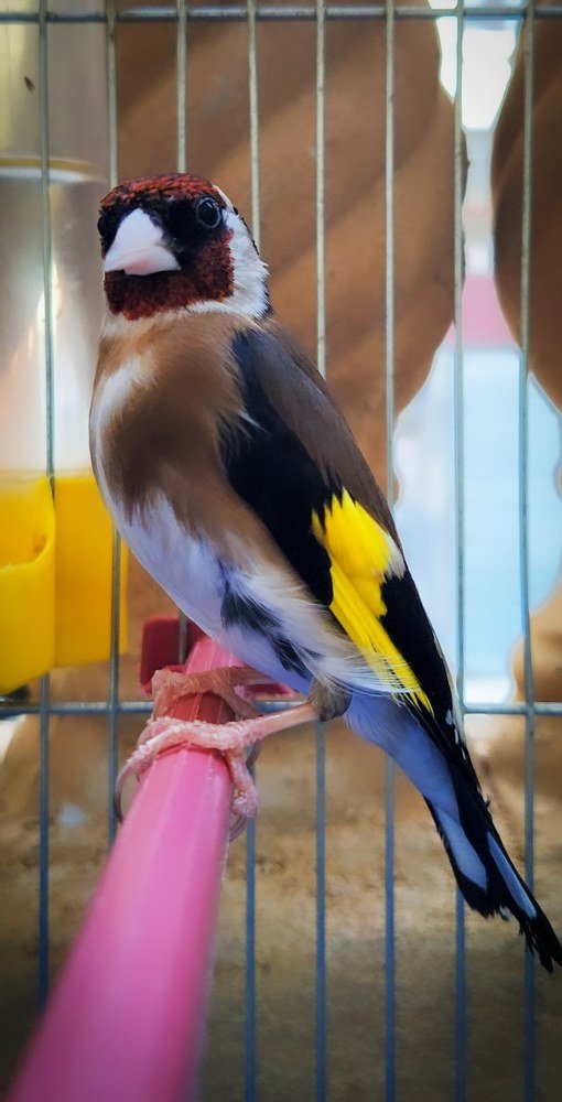 Photograph by mounir boudjellal