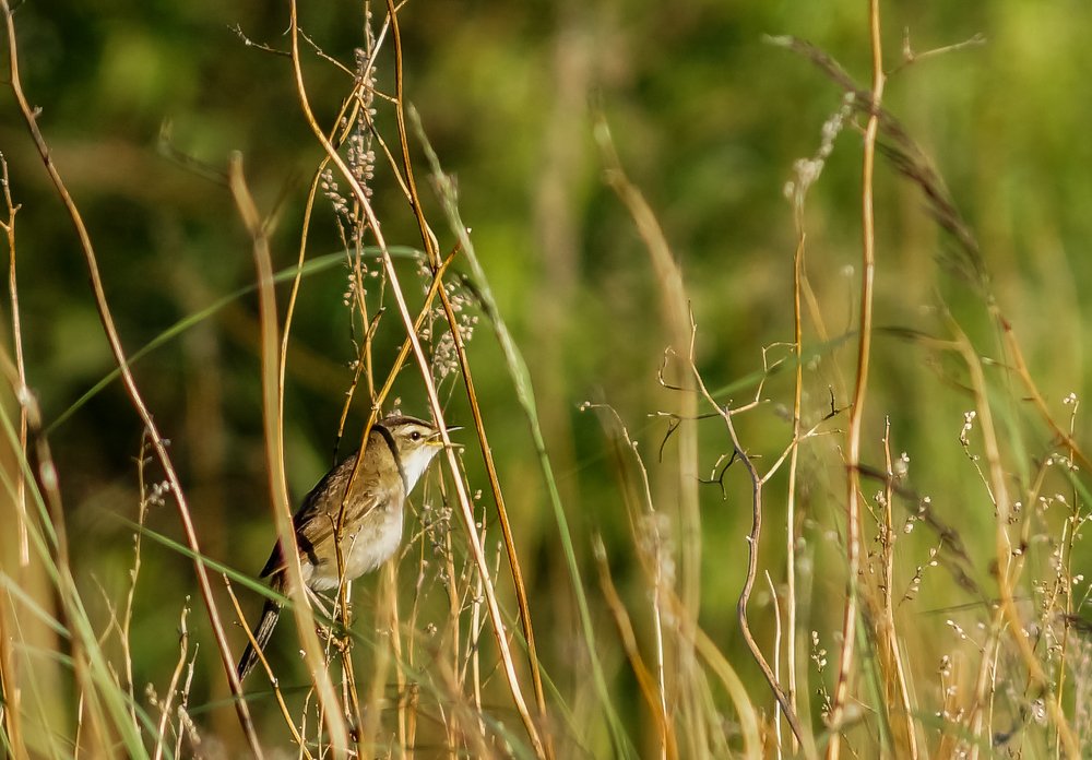 Photograph by Виктор Сёмушкин