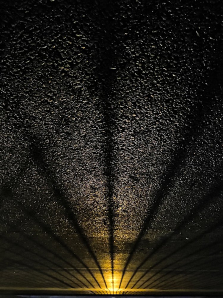 Photograph by Алексей Курочкин