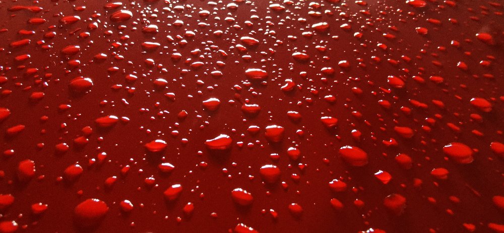 Photograph by Camilo Sarti