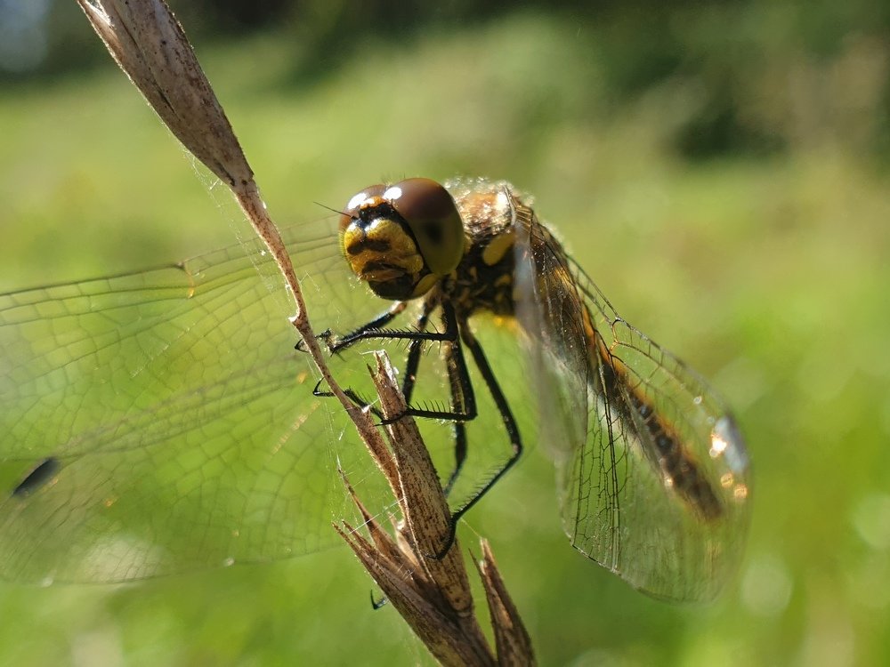 Photograph by Александр Молоцило