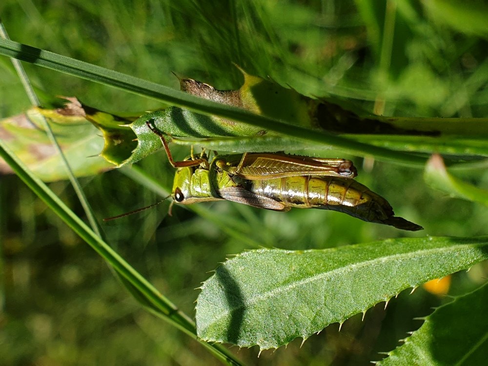Photograph by Александр Молоцило