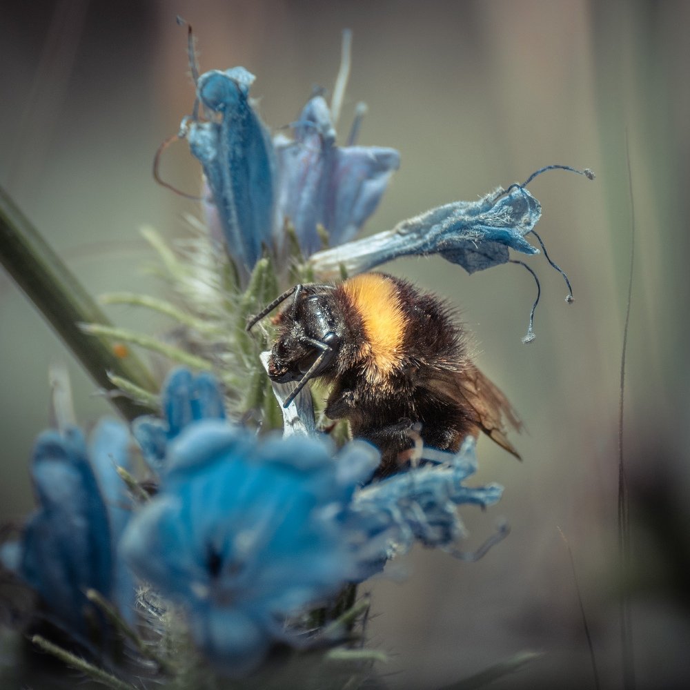 Photograph by Алексей Кремнёв