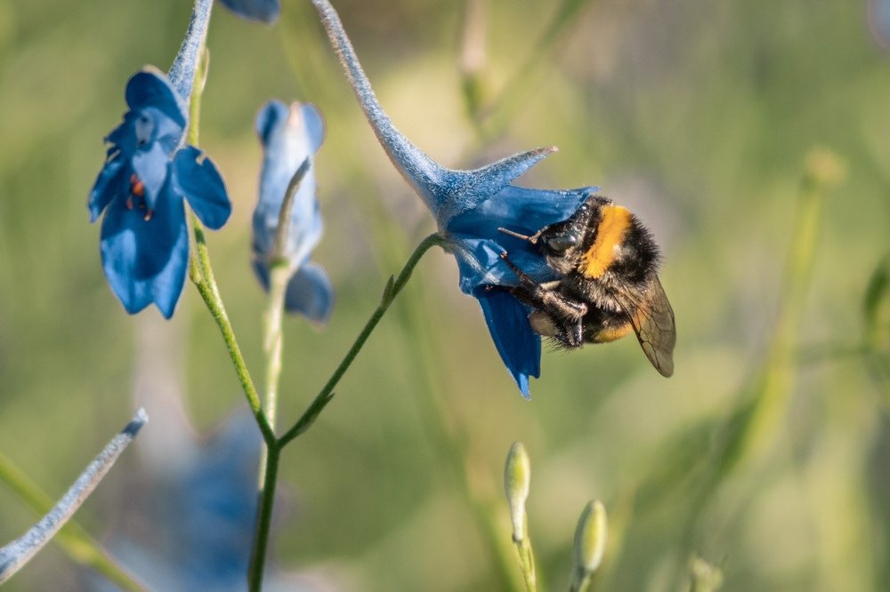 Photograph by Алексей Кремнёв