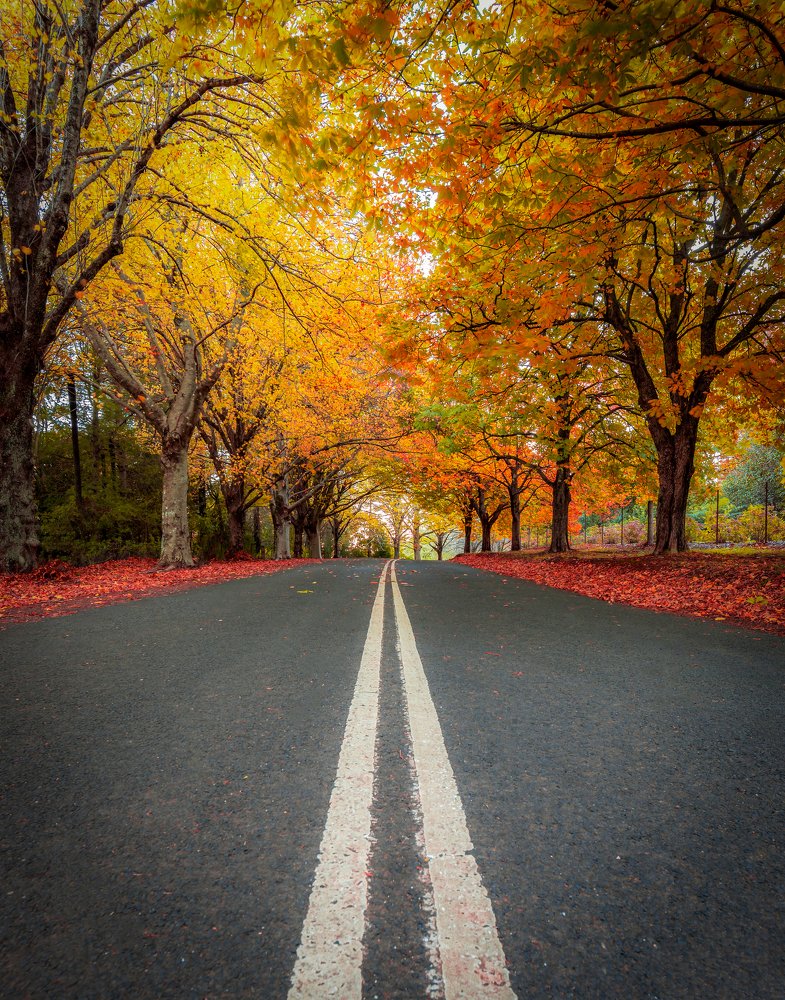 Photograph by Fascinating Imagery