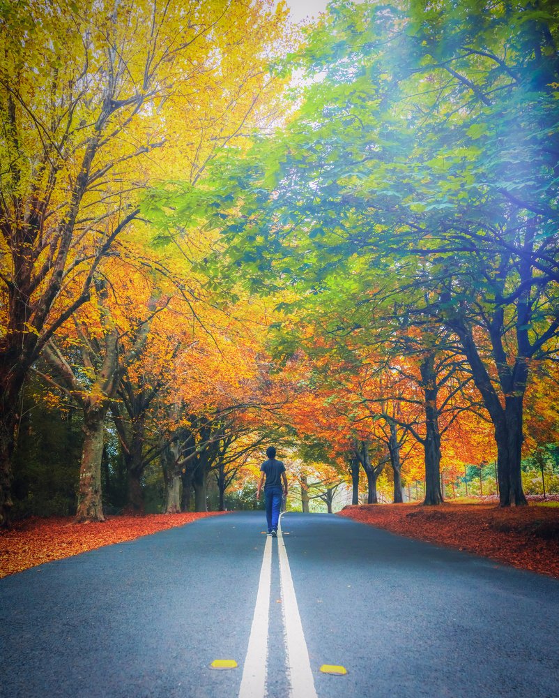 Photograph by Fascinating Imagery