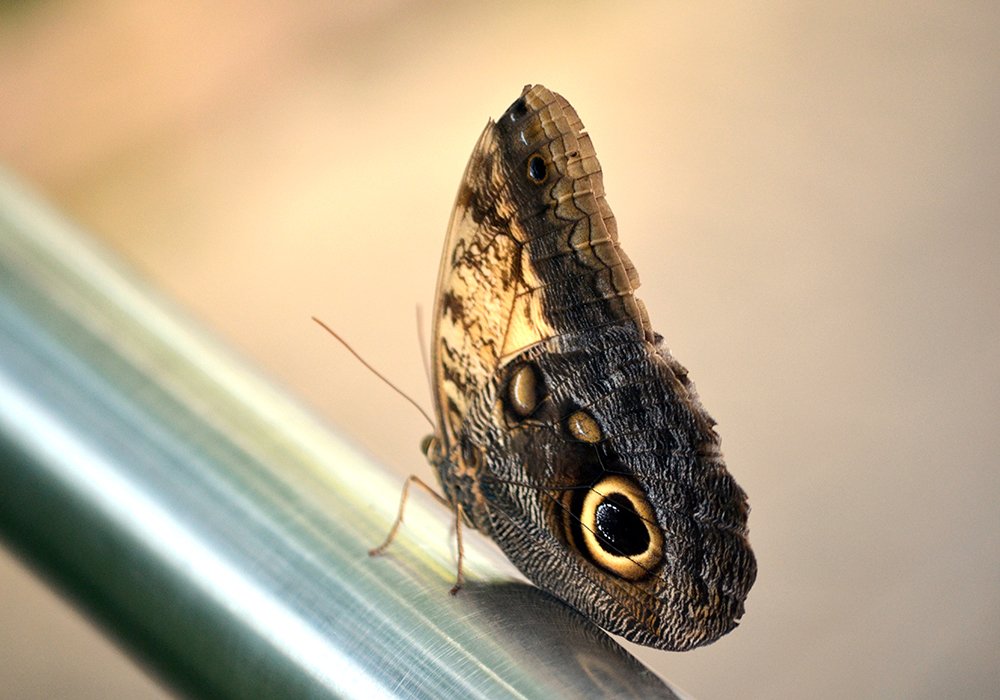 Photograph by Liliana Grup