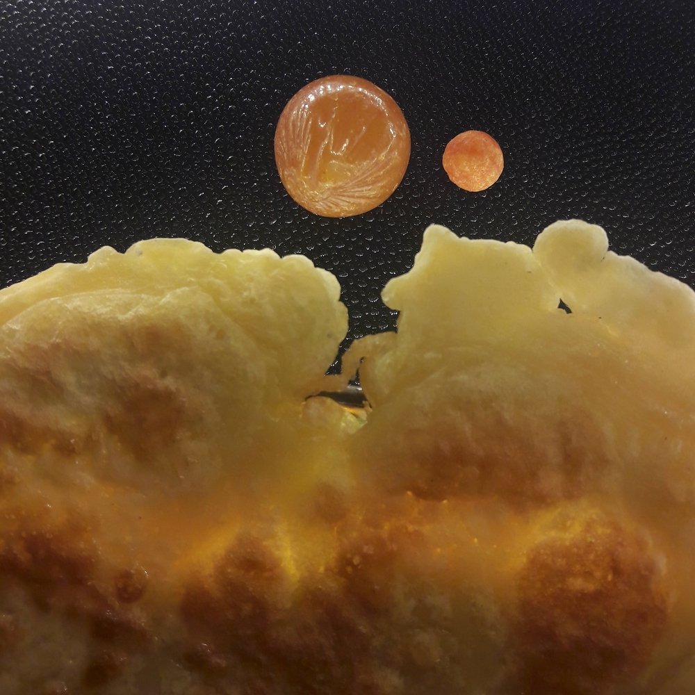 происхождение янтаря