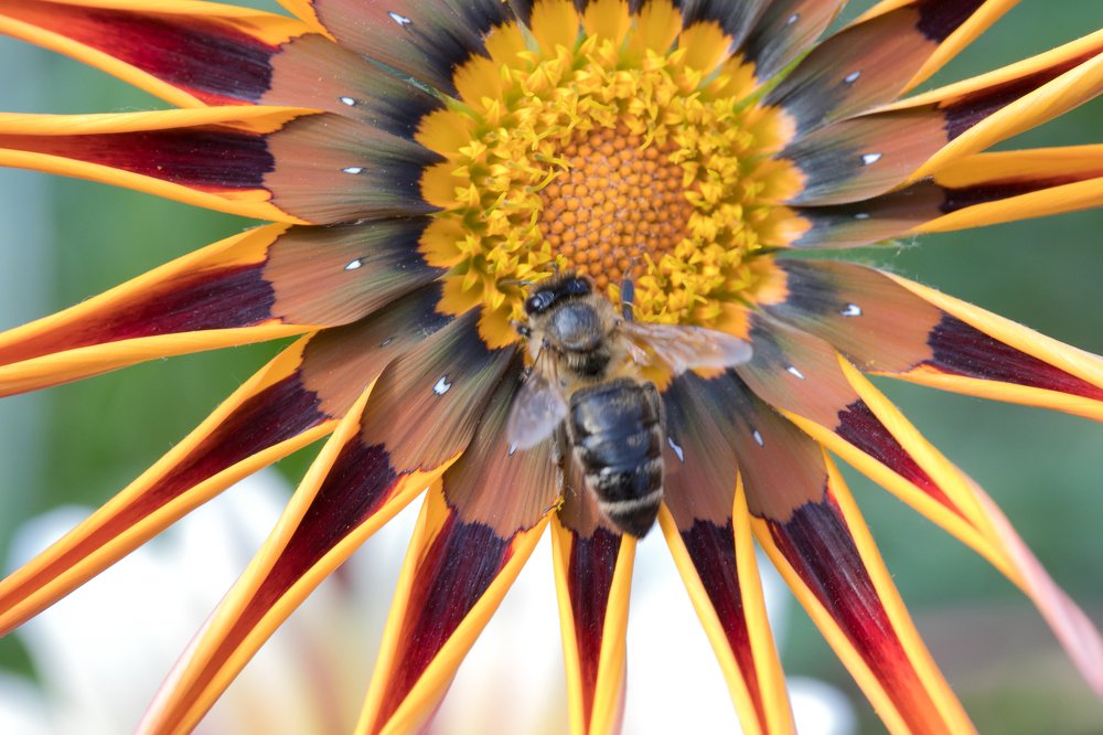 Photograph by Валерий Машук