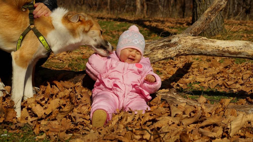 Photograph by Иван Кирилков