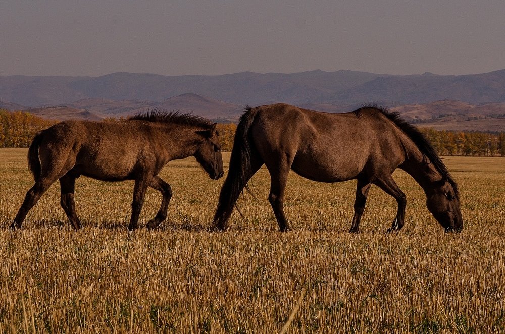 Photograph by Евгений Рослов