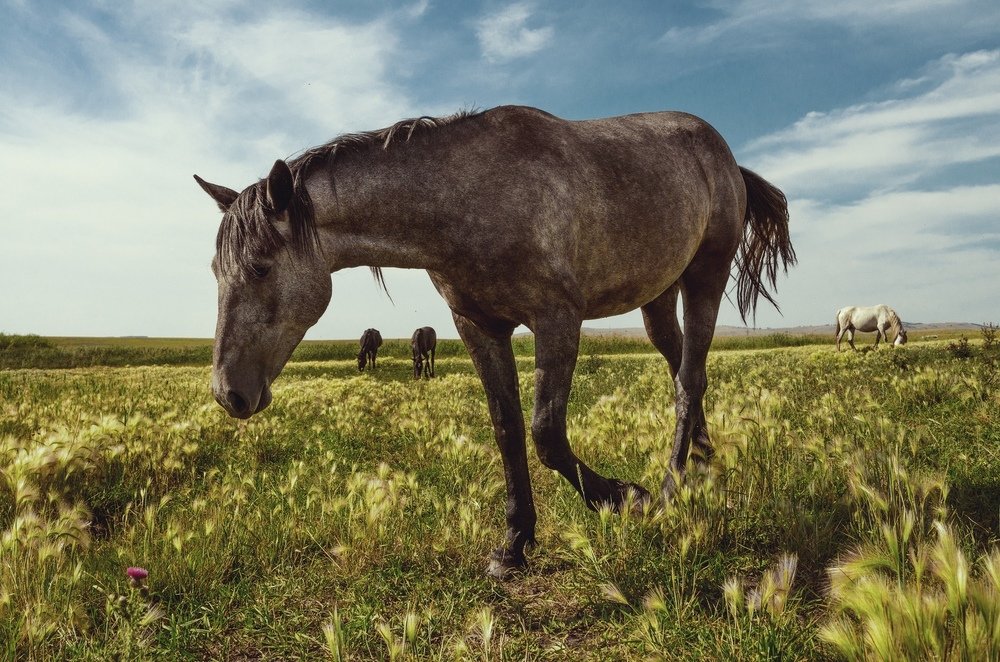 Photograph by Евгений Рослов