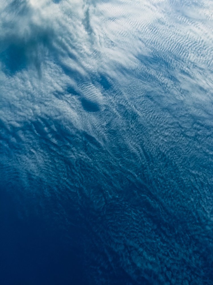 Фотография автора Ivelina Petkova