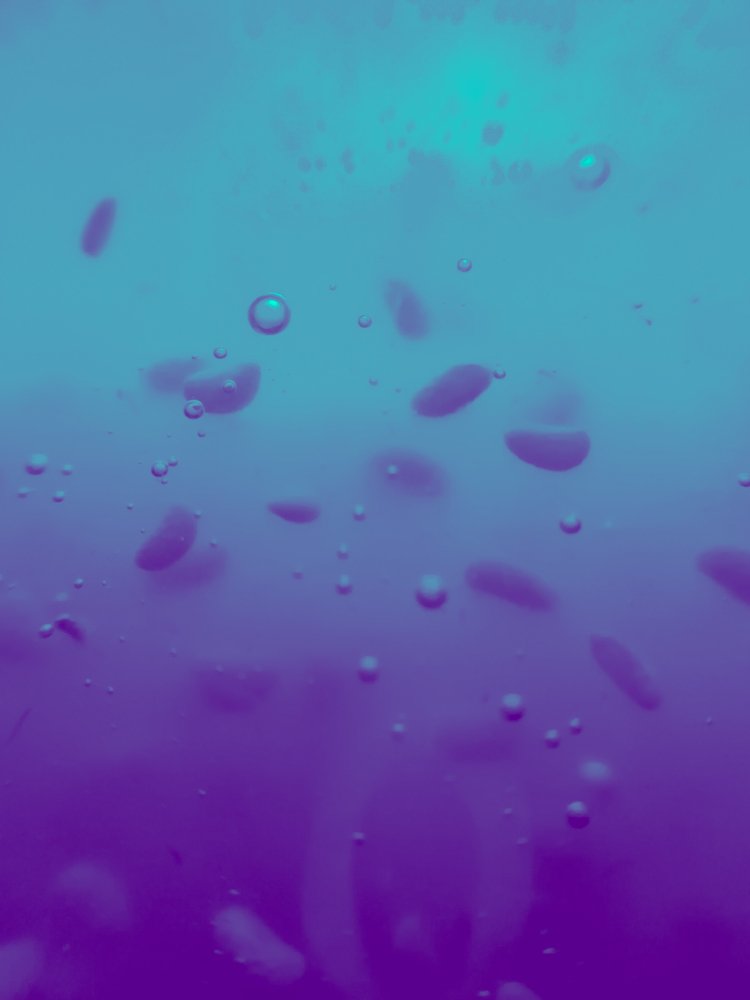 Фотография автора Ivelina Petkova