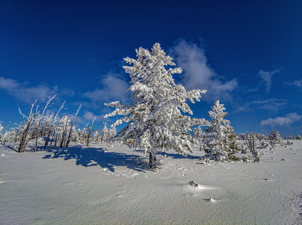 Вершина Тияхты первый снег