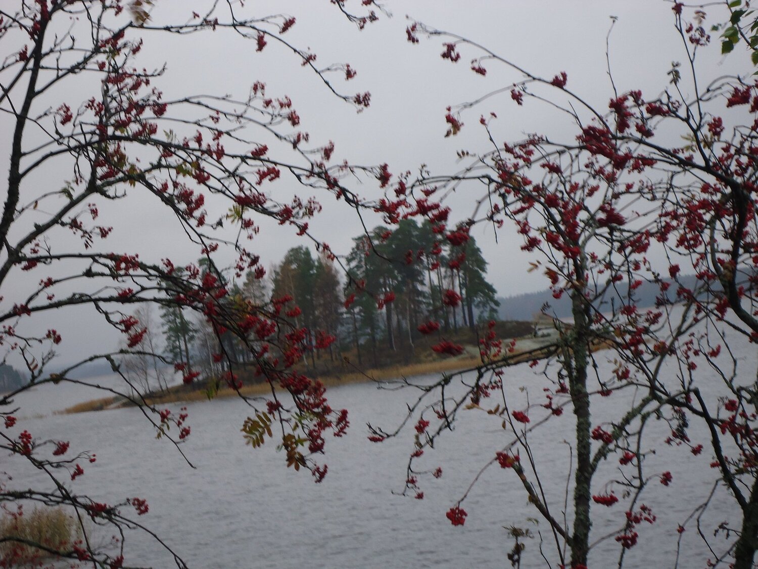Остров Любви