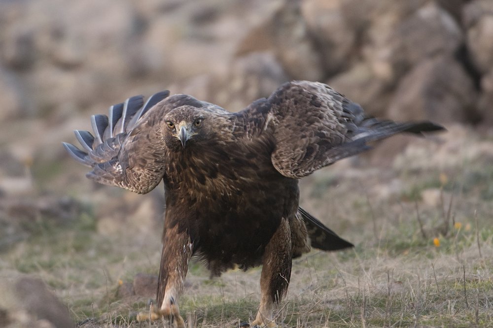 Photograph by Ernestas Balcikonis