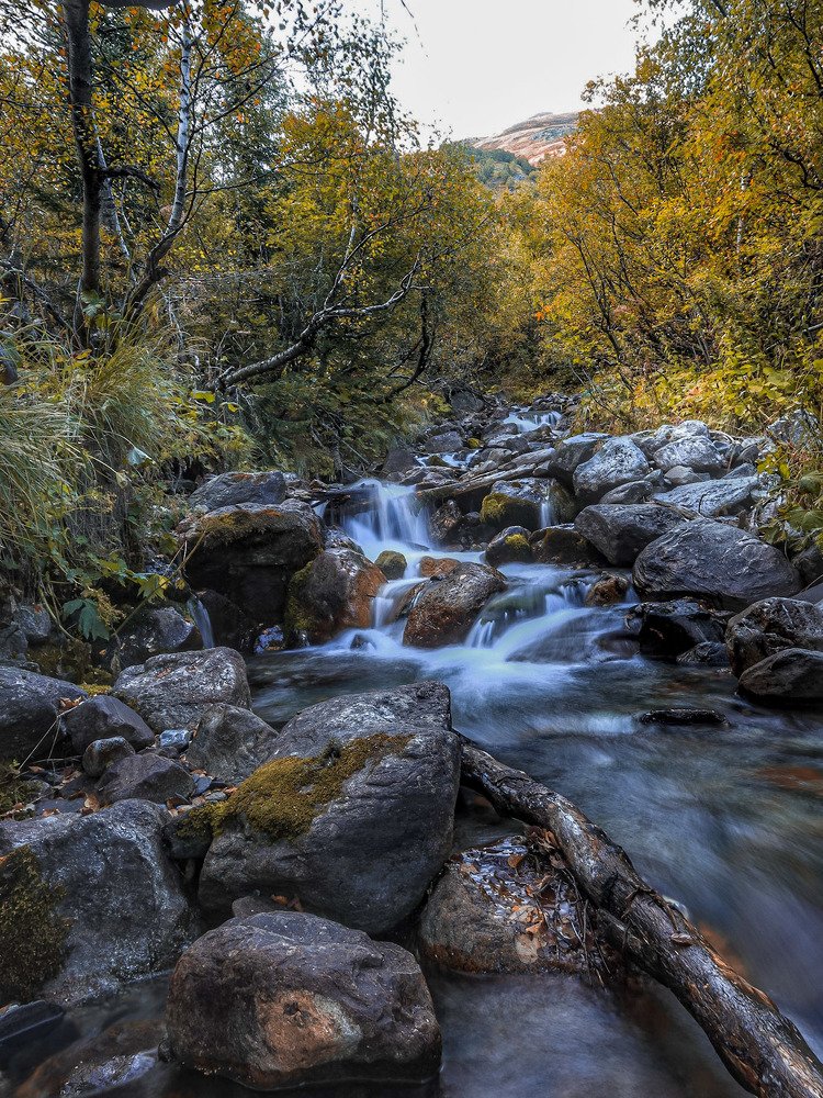 Photograph by Владимир Кульбит